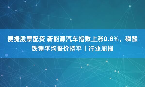 便捷股票配资 新能源汽车指数上涨0.8%，磷酸铁锂平均报价持平丨行业周报