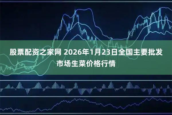股票配资之家网 2026年1月23日全国主要批发市场生菜价格行情